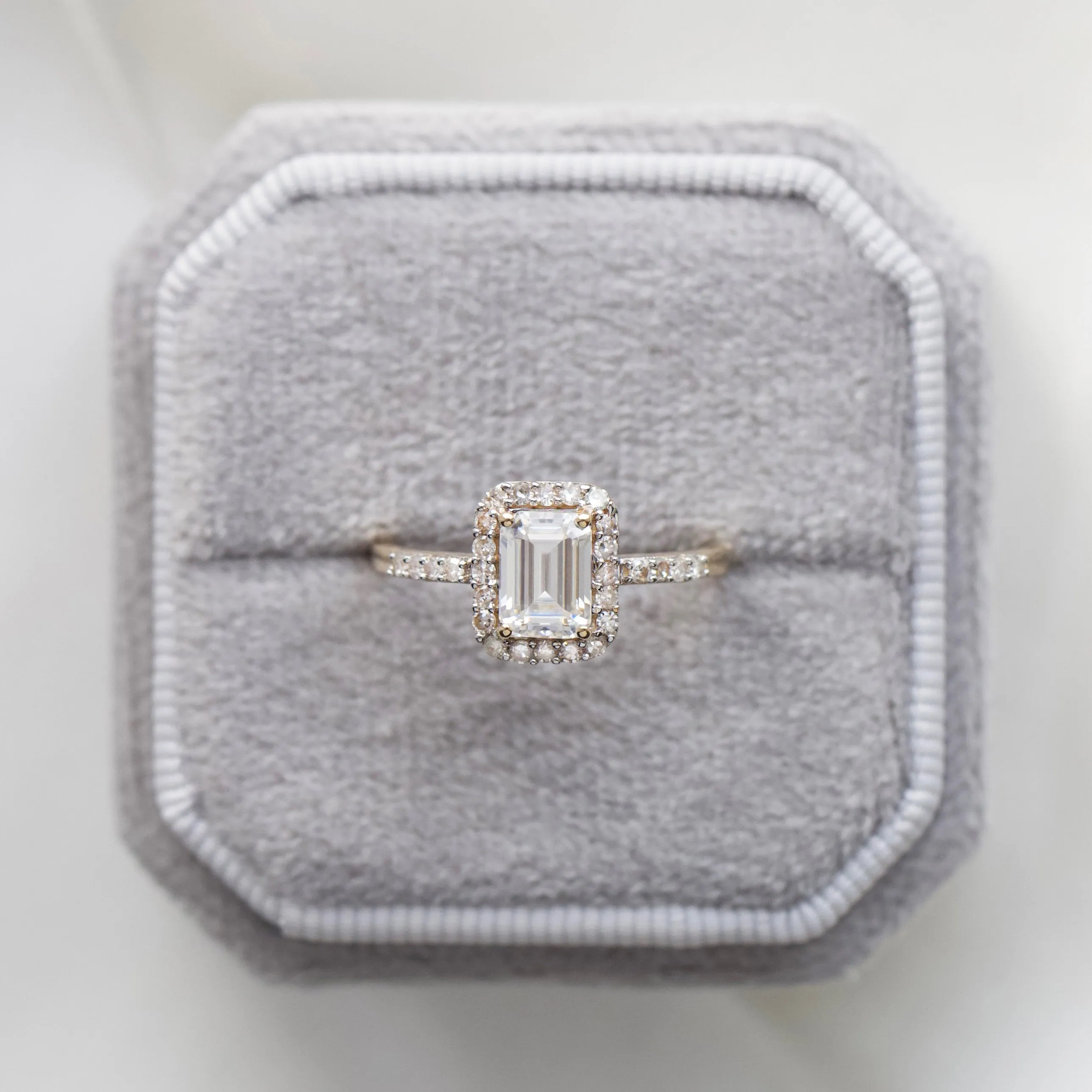 Willow Moissanite and Diamond Pave Halo Ring